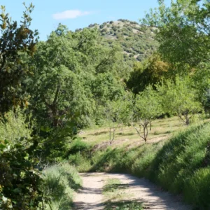 Senda del silencio
