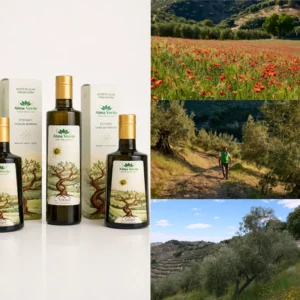 AOVE alta montaña