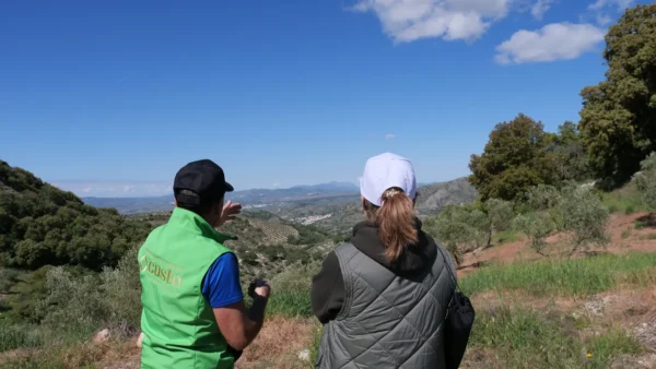 qué visitar en la Sierra de Jaén