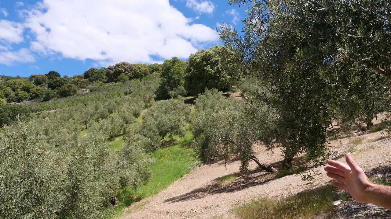 qué es la agricultura ecológica