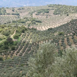 experiencias en contacto con la naturaleza