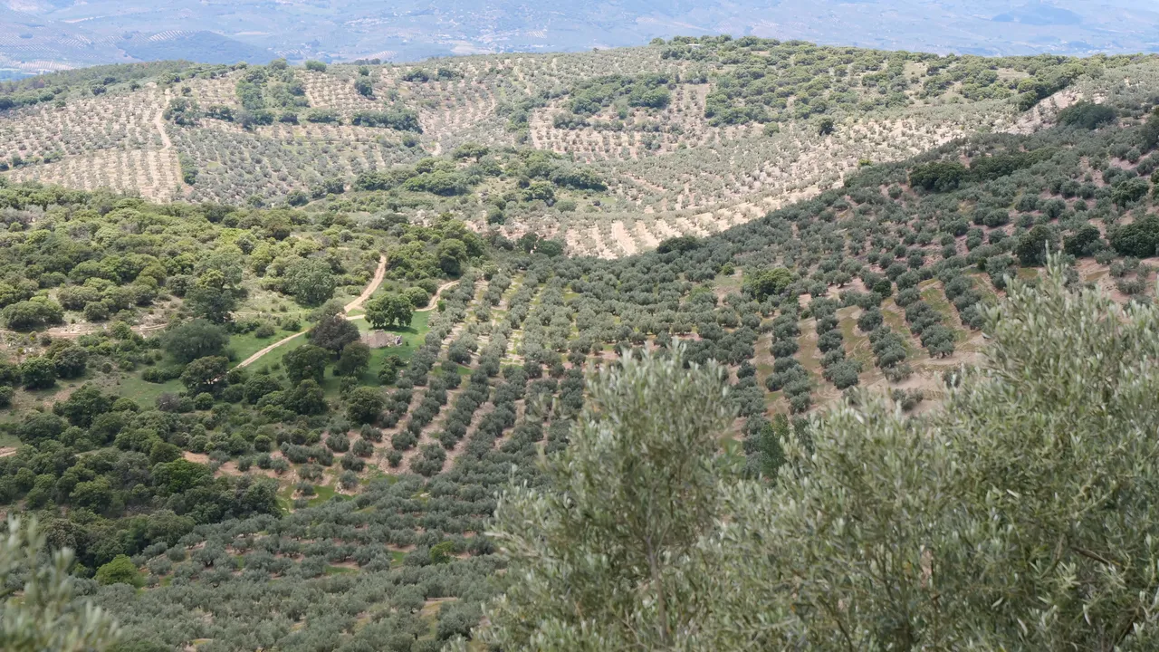 experiencias en contacto con la naturaleza